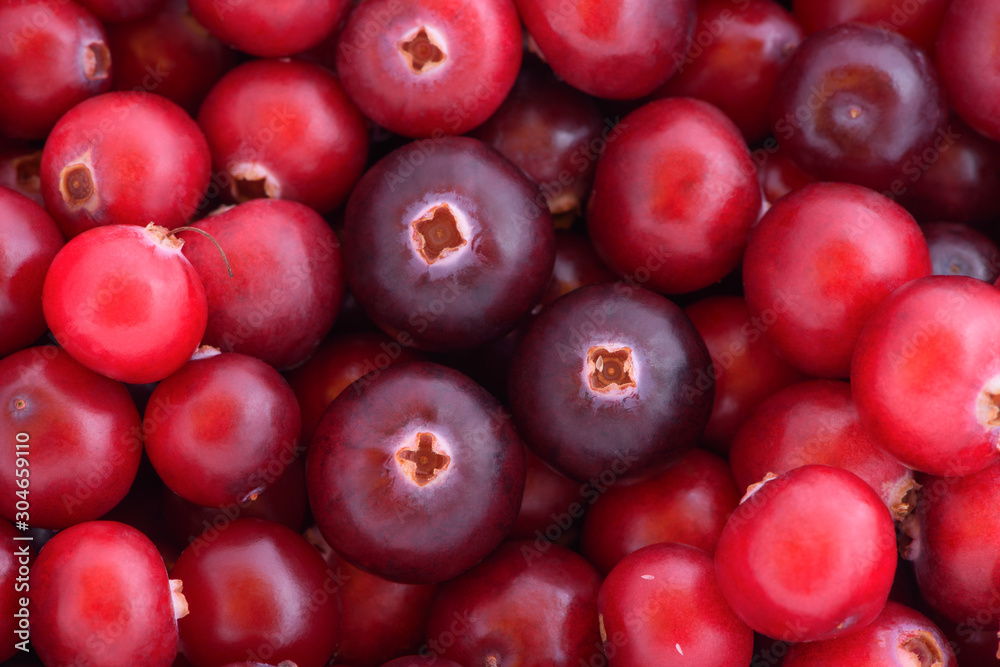 The background of the cranberries (Oxycoccus), the view from the top. The background of the cranberries (Oxycoccus), the view from the top.