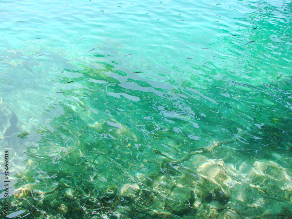 Panorama of a clear, transparent surface of a mountain lake, through which water you can see the bottom covered with plants and old trees. Panorama of a clear, transparent surface of a mountain lake, through which water you can see the bottom covered with plants and old trees.