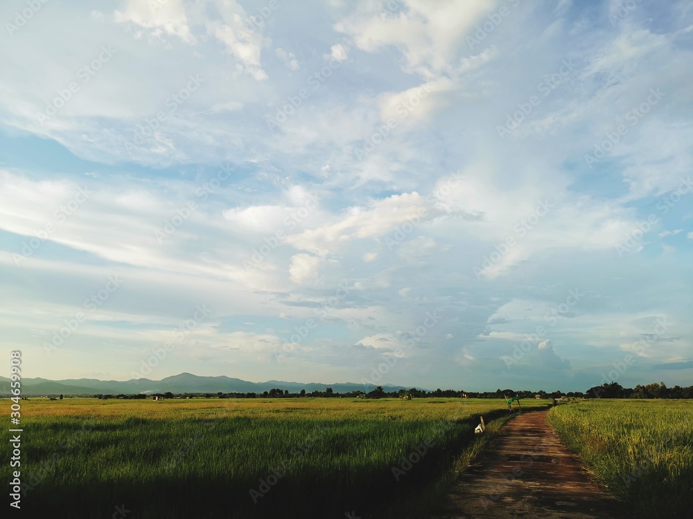 Obraz premium landscape with blue sky and clouds