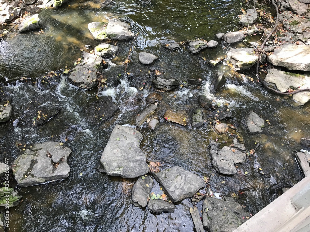 Obraz premium stones in water