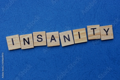 word insanity made from gray wooden letters lies on a blue background