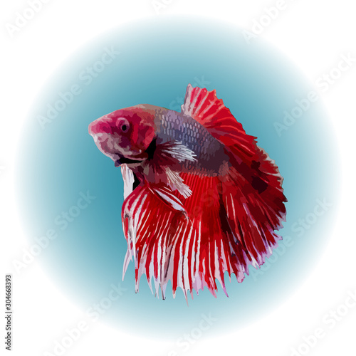 Illustration of a Thai fighting fish on paper. Fish swimming in water