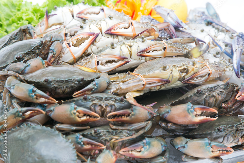 Fresh crab on a white background Fresh crab on a white background