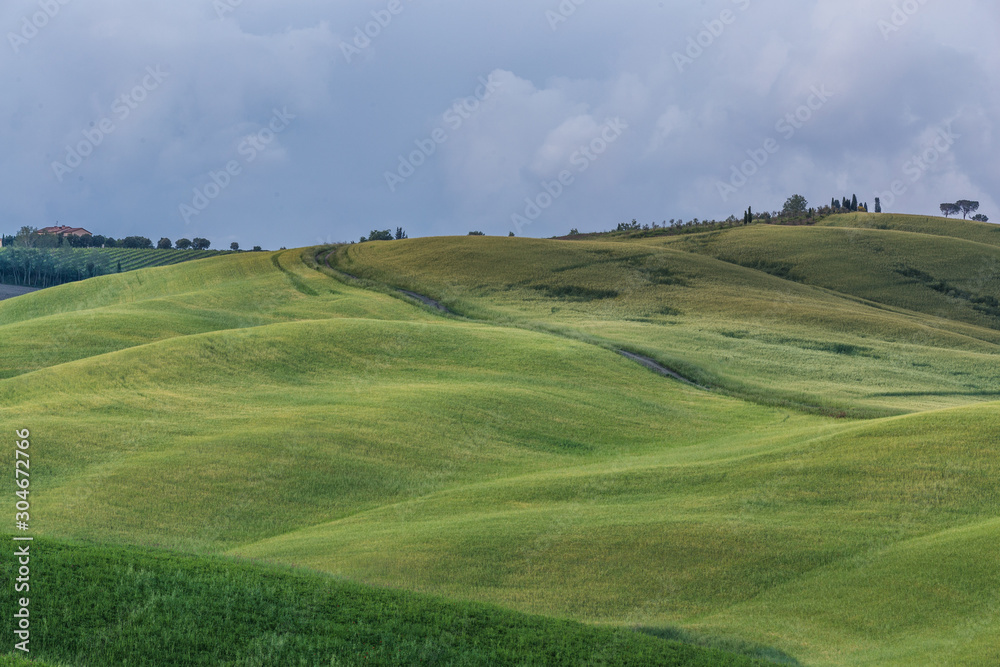 Beautiful countryside landscapes in Tuscany with rolling hills during the sunset Beautiful countryside landscapes in Tuscany with rolling hills during the sunset
