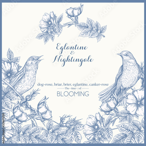 Wallpaper Mural Dog-rose, briar, brier, eglantine, canker-rose and nightingale. Template for wedding invitation, greeting card, gift voucher. Graphic drawing, engraving style. Vector illustration in blue and white. Torontodigital.ca