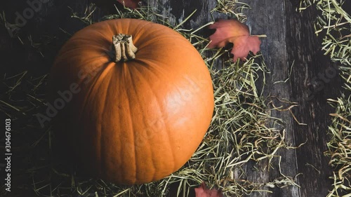 Big rural decorative orange pumpkin on  rustic wooden background with rural hay and autumn foliage as festive holiday decor for thanksgiving or halloween