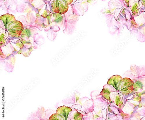 Pink Hortensia watercolor frame. Big detailed hydrangea flowers with pastel green color. Hand drawn floral illustration on white background for wedding design, banners, lettering