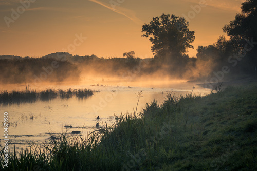 Biebrza River on a foggy morning, Goniadz, Podlaskie, Poland photo