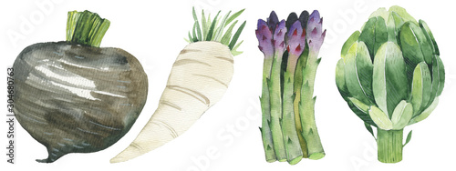 Watercolor painted collection of vegetables. Hand drawn fresh food design elements isolated