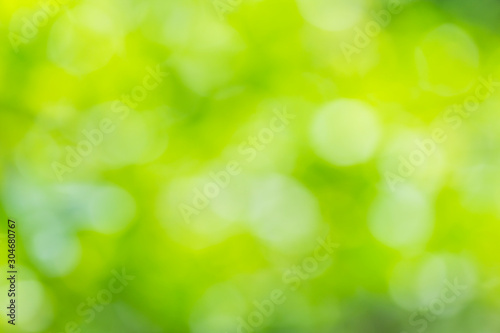 Natural green blurred background © kaewphoto