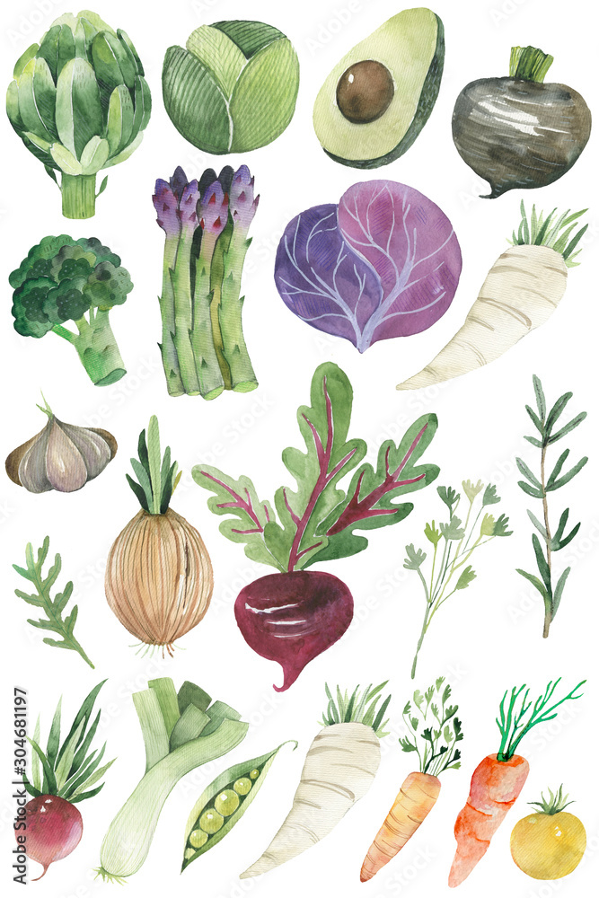 Watercolor painted collection of vegetables. Hand drawn fresh food design elements isolated on white background. - obrazy, fototapety, plakaty 