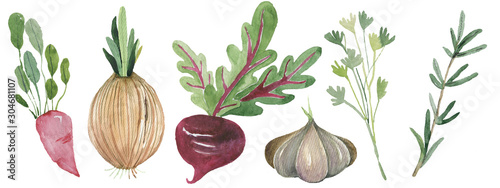 Obraz na plátně Watercolor painted collection of vegetables