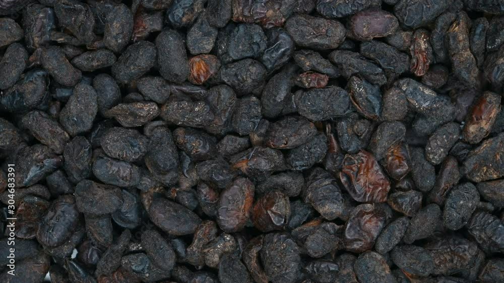 top view herb medicine DanDouChi or Sojae Semen Praeparatum or Fermented Soybean rotate and pause