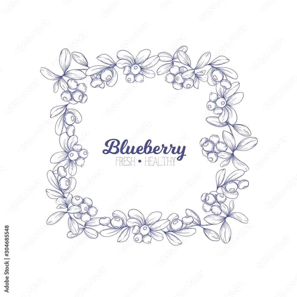 Blueberry. Element for design. Good for product label. Graphic drawing, engraving style. Colored vector illustration