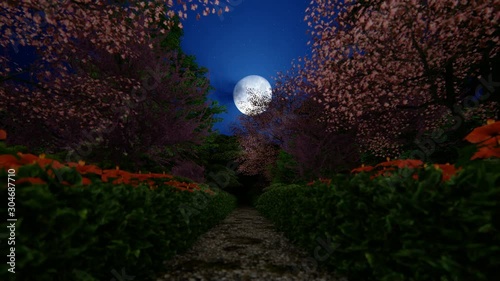 Beautiful japanesse garden with full moon shinning through blossom cherry trees, 4K