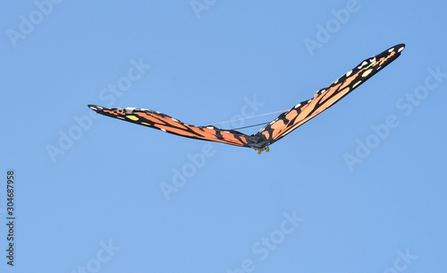 butterflt kite in a blue sky photo
