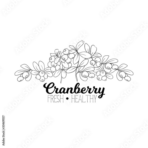 Cranberry. Element for design. Good for product label. Outline hand drawing vector illustration..