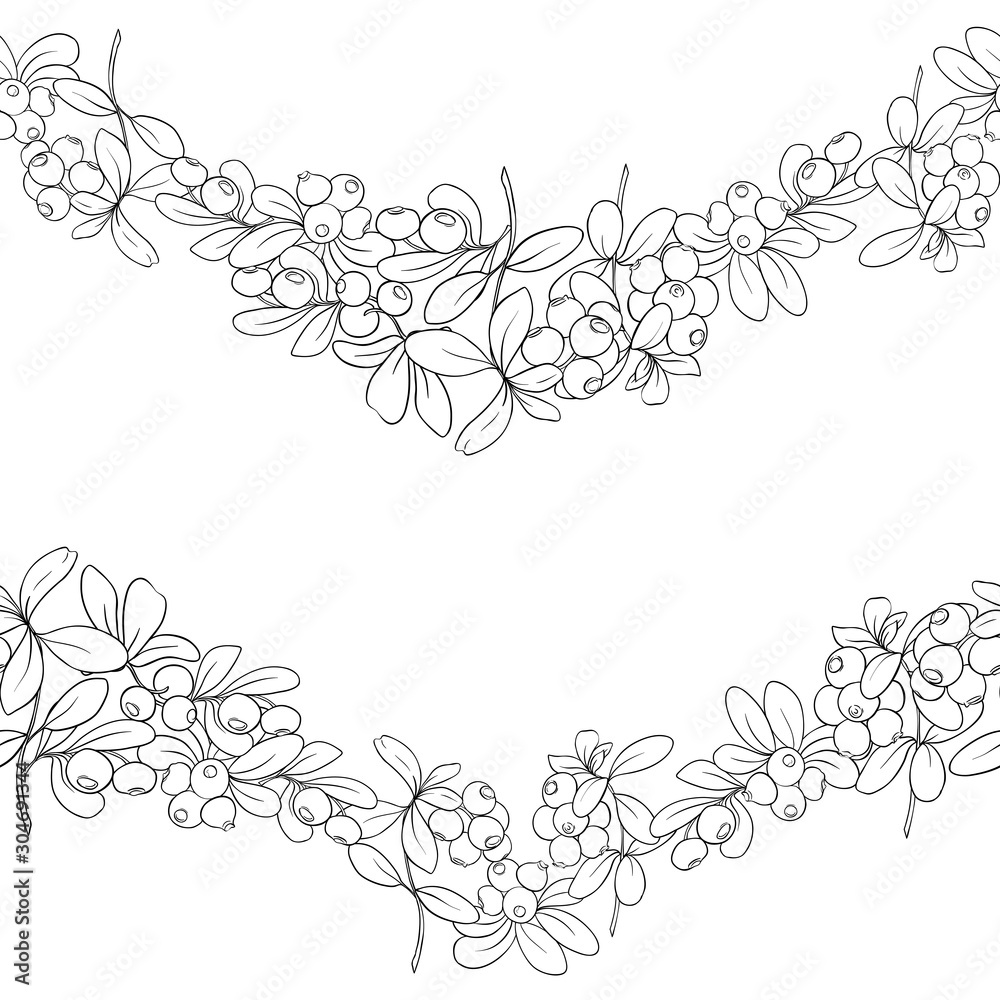 Cranberry. Seamless pattern, background. Outline hand drawing vector illustration