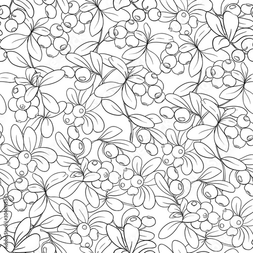 Cranberry. Seamless pattern, background. Outline hand drawing vector illustration