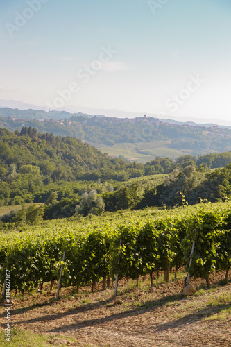 La Scolca winery  Piedmont  Italy