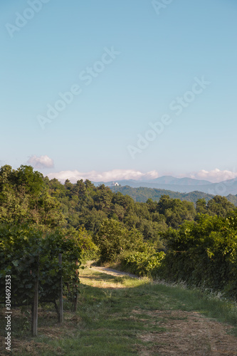 La Scolca winery, Piedmont, Italy