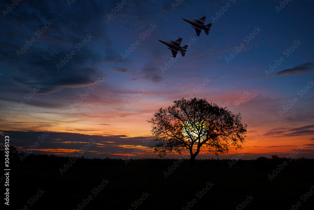 Army Show performant of air craft high speed flight with twilight sky background.