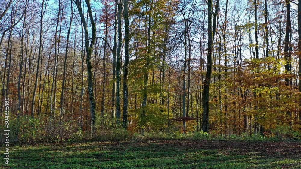 Herbst auf der Schwäbischen Alb - Kameraflug Herbst auf der Schwäbischen Alb - Kameraflug