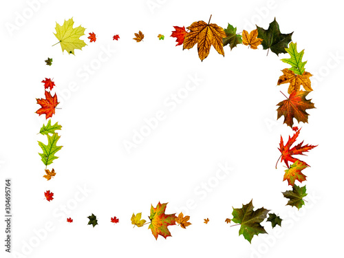 Fall leaves. Autumn season pattern isolated on white background. Thanksgiving concept