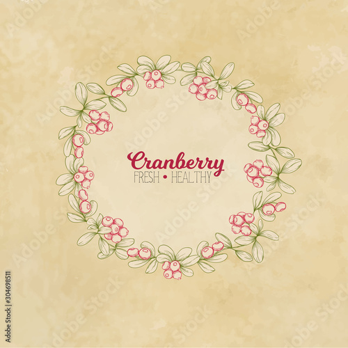Cranberry. Element for design. Good for product label. Colored vector illustration. On kraft paper background.