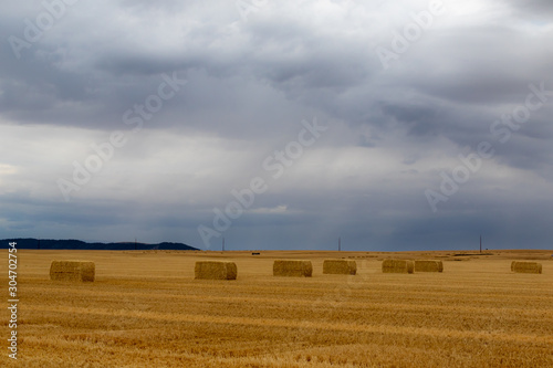 bales of straw on field