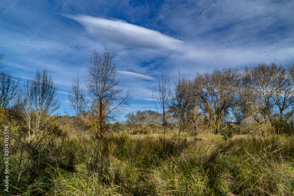 Autumn landscape on a sunny day with clouds. Recreational area of the Retamar bridge. Las Rozas of Madrid, Spain. Autumn landscape on a sunny day with clouds. Recreational area of the Retamar bridge. Las Rozas of Madrid, Spain.