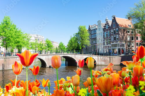 Houses of Amstardam, Netherlands photo