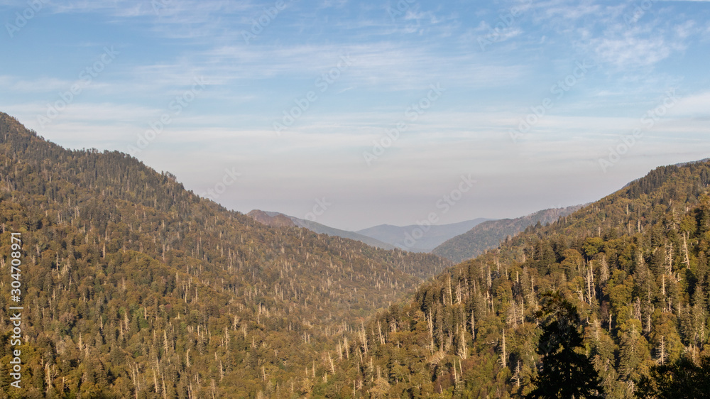 Panoramic view of the forest in the Great Smoky Mountains National Park in early autumn colours