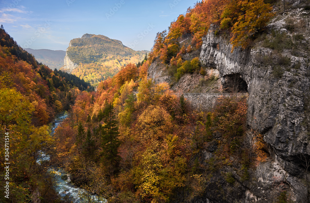 Beech trees with autumn colors in La Goule Noire de las Gorges de La Bourne. France