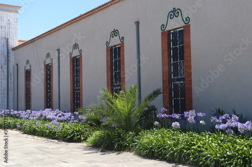 Obraz na płótnie Flowers w salonie