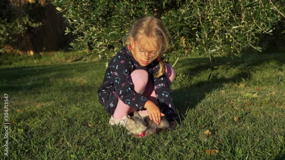 Little Girl Petting Cute Gray Kitten on the Grass. Beautiful Olive Tree is on the Background. Slow Motion. Pets and Animals Concept Little Girl Petting Cute Gray Kitten on the Grass. Beautiful Olive Tree is on the Background. Slow Motion. Pets and Animals Concept