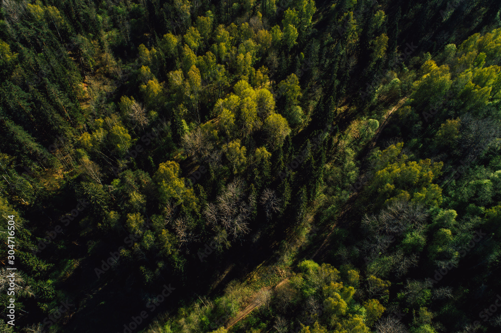 Obraz premium Aerial view on rural forest area with small road