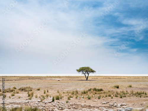 Photography Salt pan - Etosha National Park - Namibia