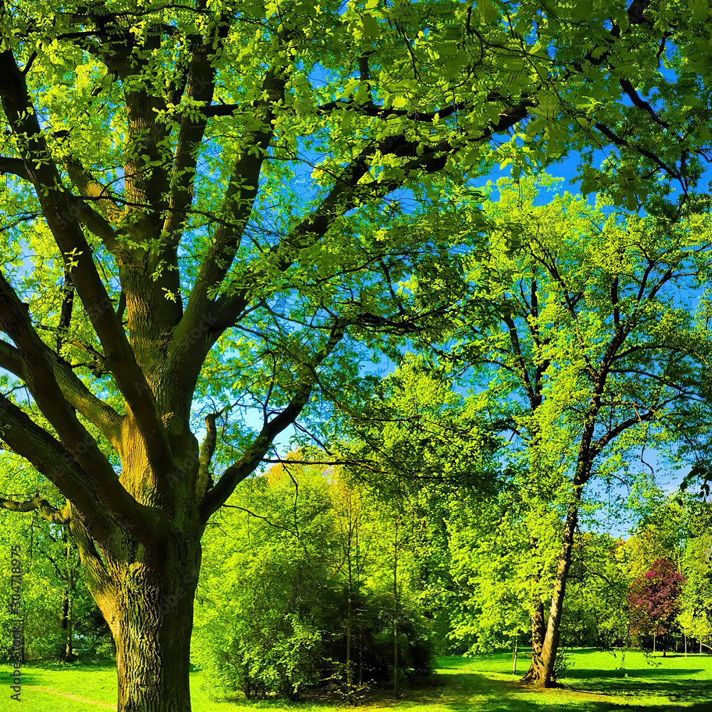 Fototapeta premium Infrared view of outdoor public park