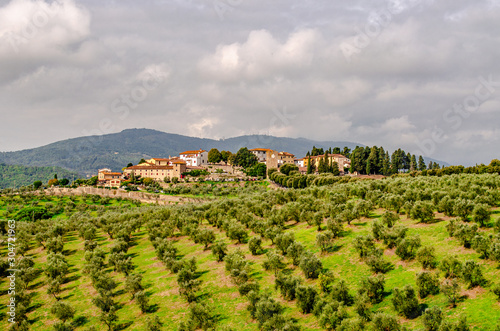 Fototapeta Naklejka Na Ścianę i Meble -  Artimino town on beautiful hills with olive groves in Tuscany Italy