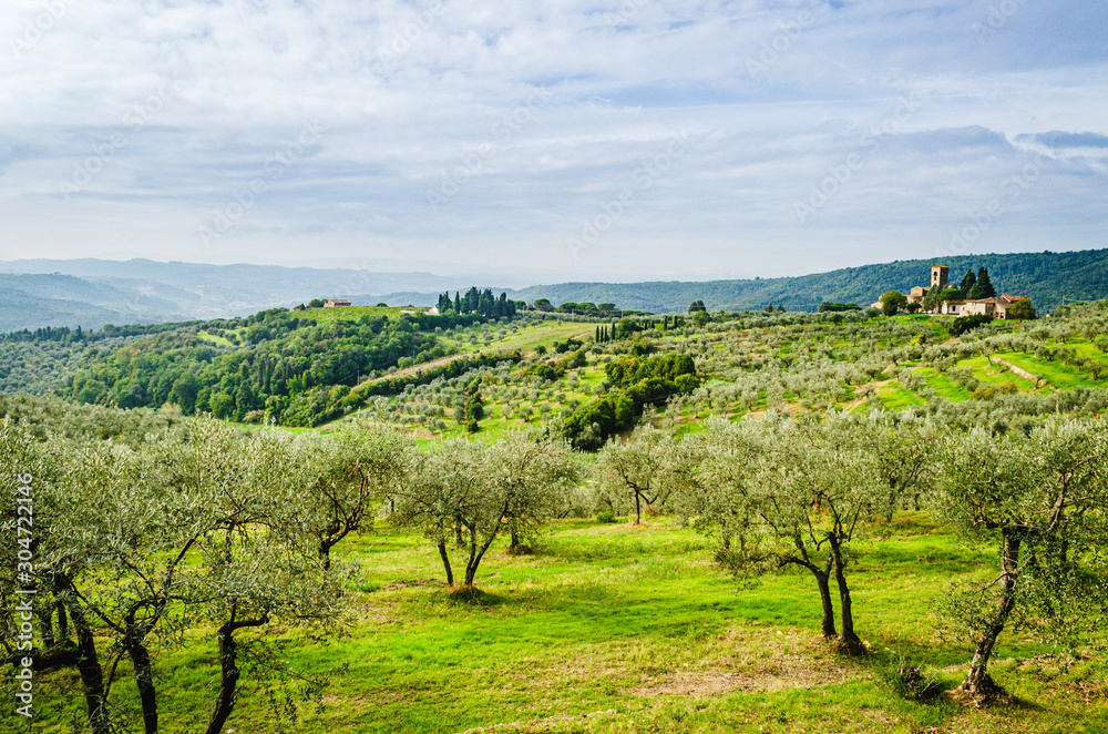 Landscape view of typical Tuscan environment with evergreen olive and cypress hills 