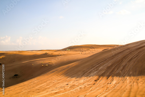 ein Stück Wüste mit Dünen und einzelnen Sträuchern in der Abendsonne