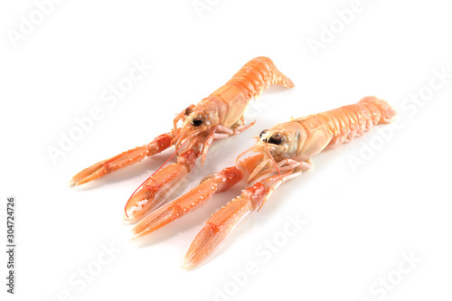 Two fresh Norway Lobster also called scampi or langoustine, expensive seafood isolated on a white background, copy space