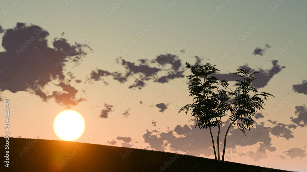Fototapeta premium Plant at Sunset Landscape Background, 3D Rendering