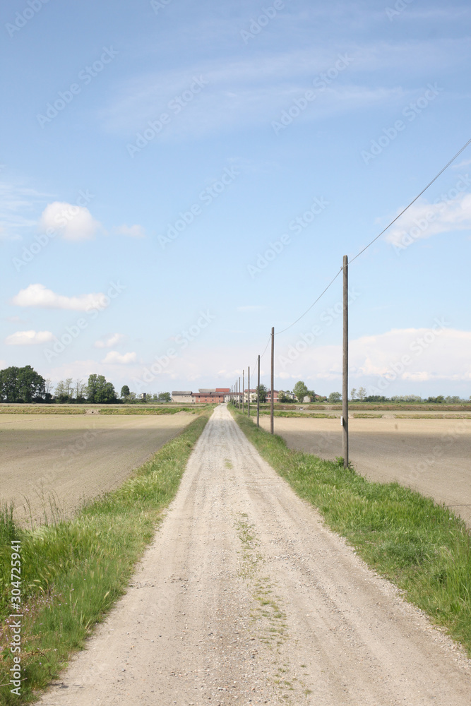 dirt country road in perspective with copy space for your text