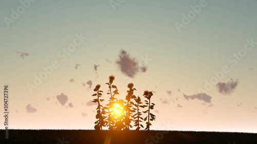 Plant at Sunset Landscape Background, 3D Rendering