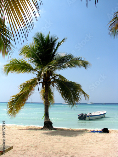paradise beach with palm trees and boat with motor in the background