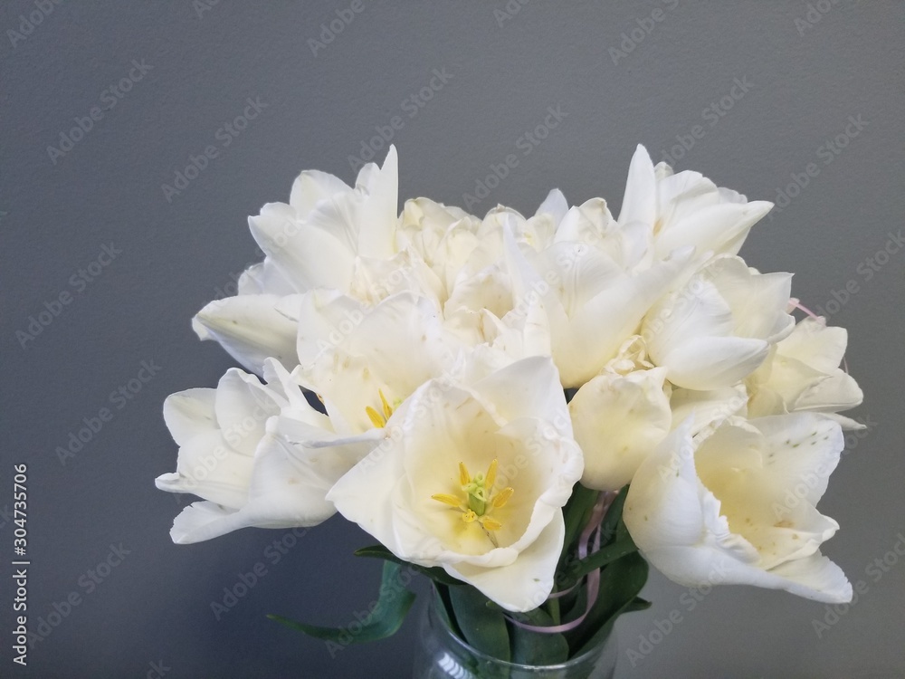 white flower white flower