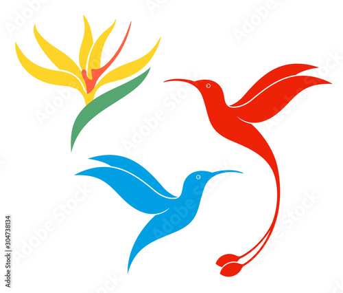 Hummingbird logo. Isolated hummingbird on white background