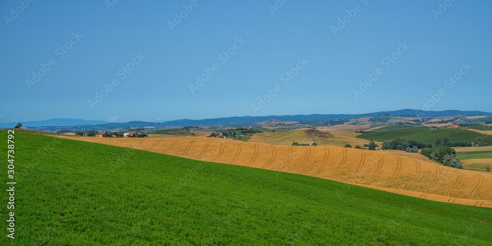 Obraz premium View of a sunny day in the Italian rural landscape. Unique Tuscany landscape in summer time. Wave hills, colorful fields, cypresses trees and sky.